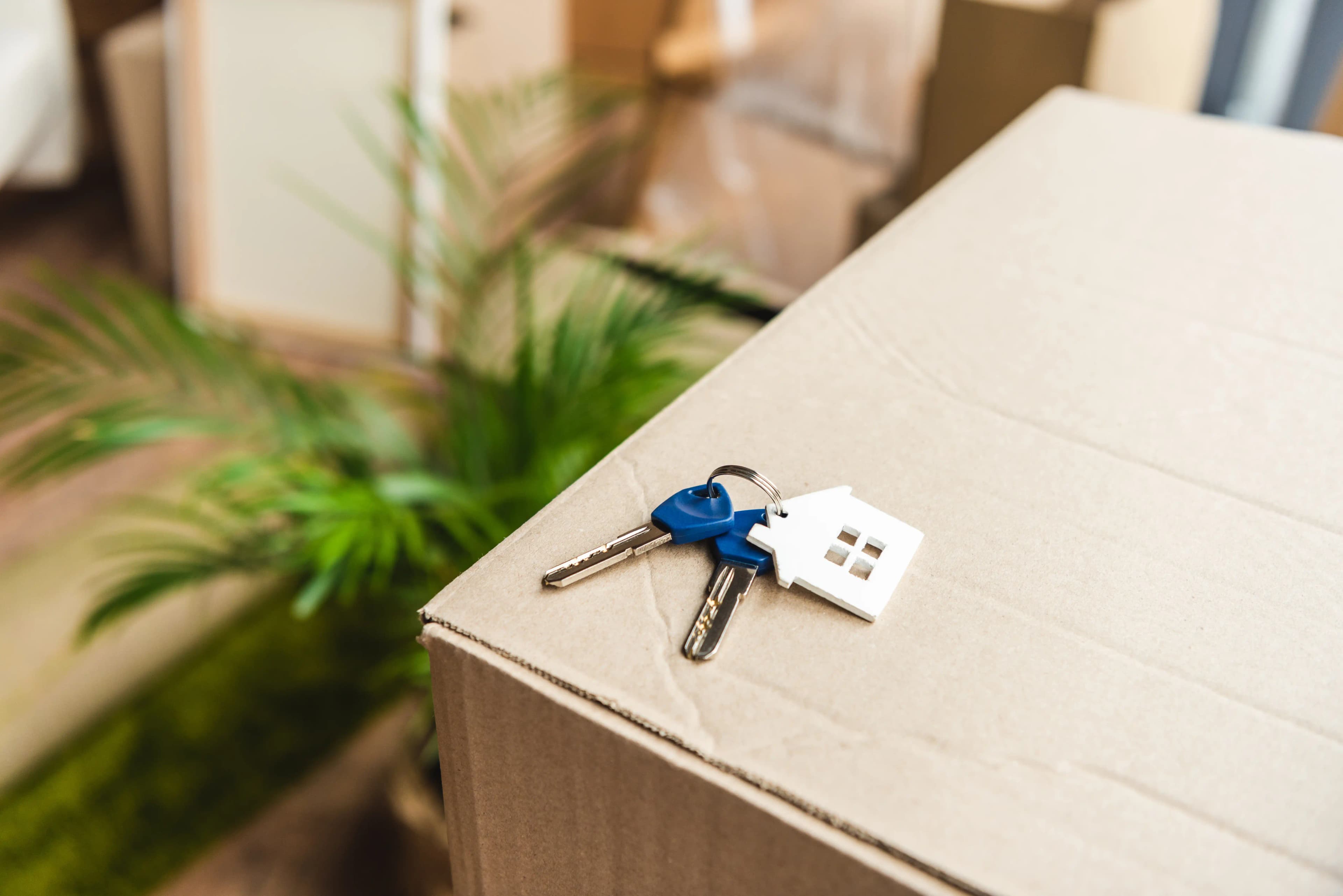 Keys from new house on cardboard box